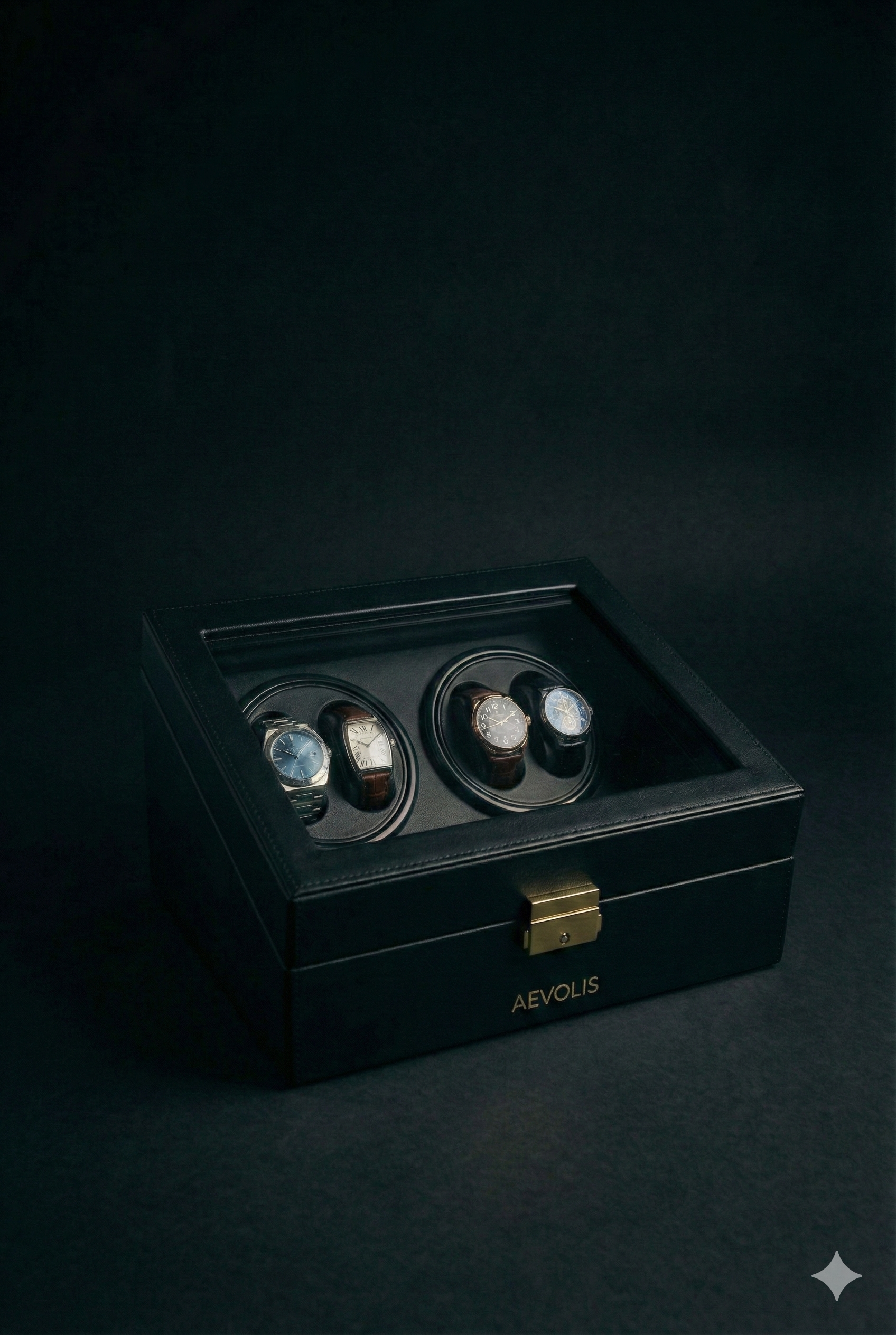 Boîte de montre AEVOLIS - Virtuoso 10 montres